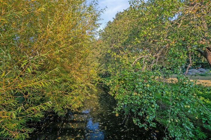 Bekijk foto 41 van Vuurdoorn 43