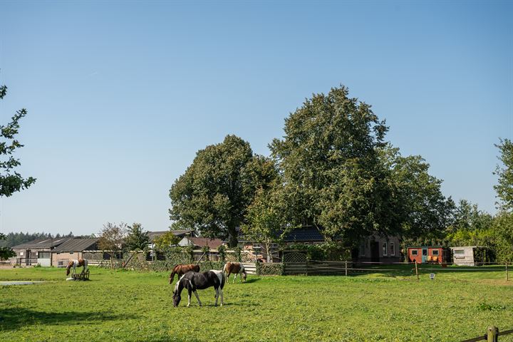 Bekijk foto 45 van Domeinweg 11