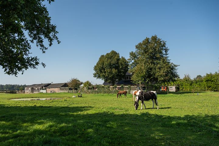 Bekijk foto 48 van Domeinweg 11