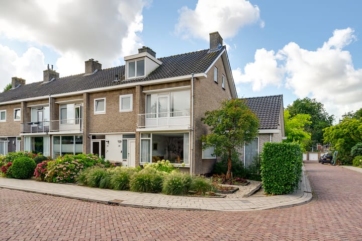 Foto 1 van Campanula 29