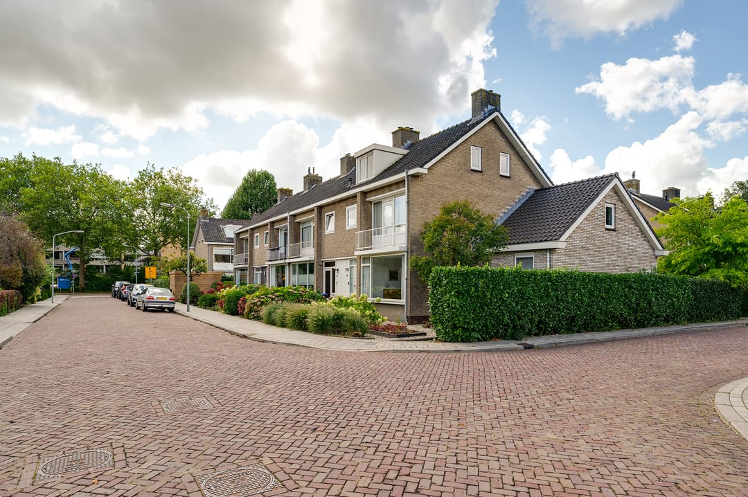 Foto 2 van Campanula 29