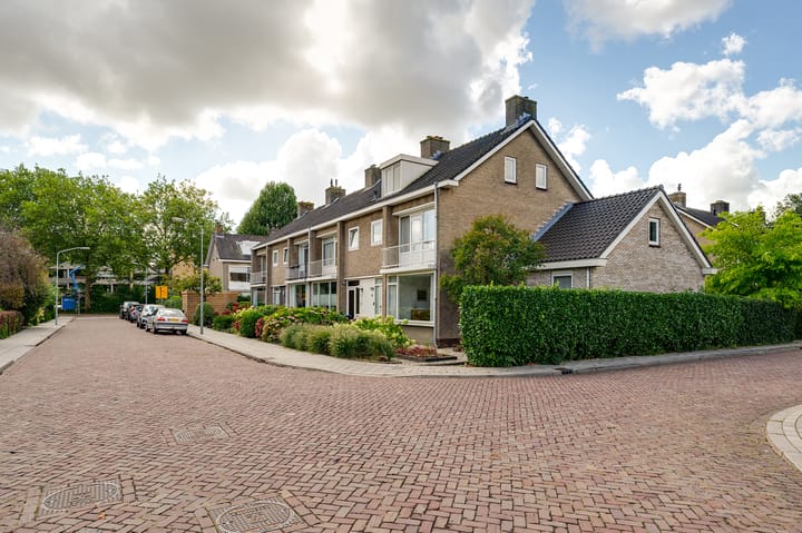 Foto 2 van Campanula 29