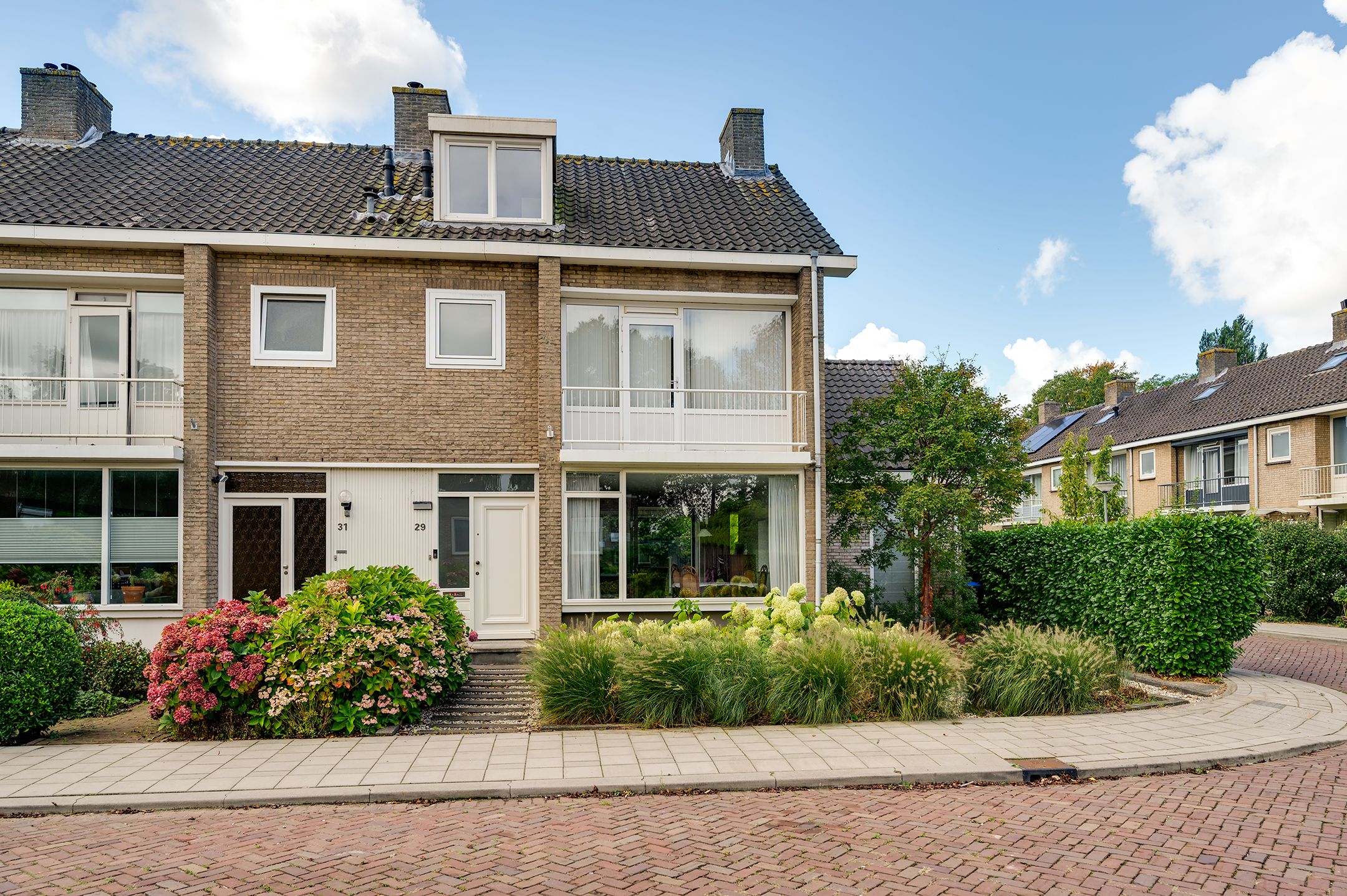 Foto 3 van Campanula 29