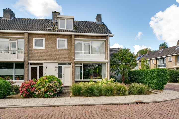 Foto 3 van Campanula 29