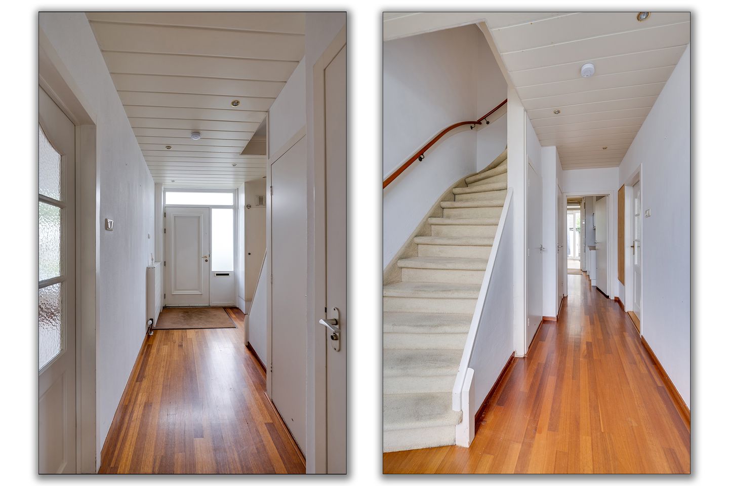 Foto 4 van Campanula 29