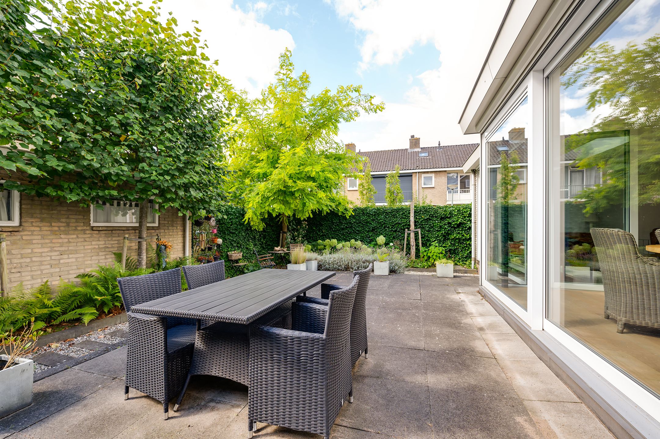 Foto 15 van Campanula 29