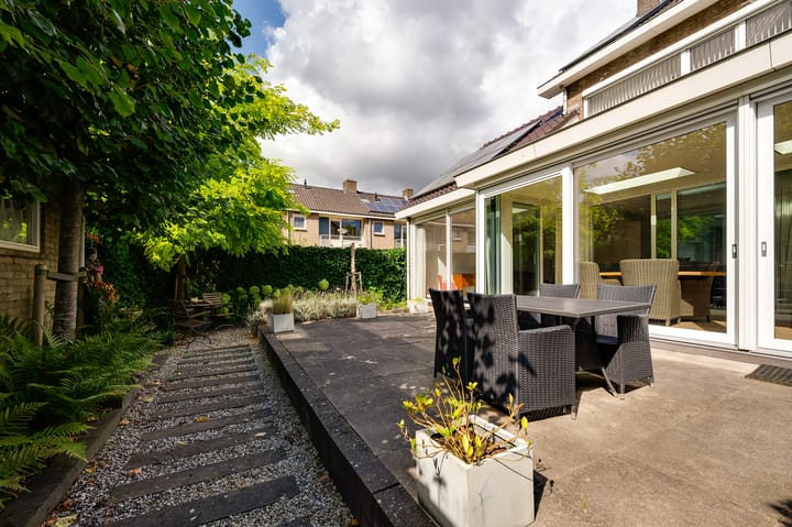 Foto 16 van Campanula 29