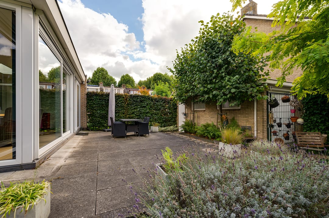 Foto 17 van Campanula 29