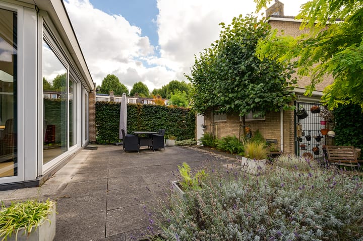 Foto 17 van Campanula 29