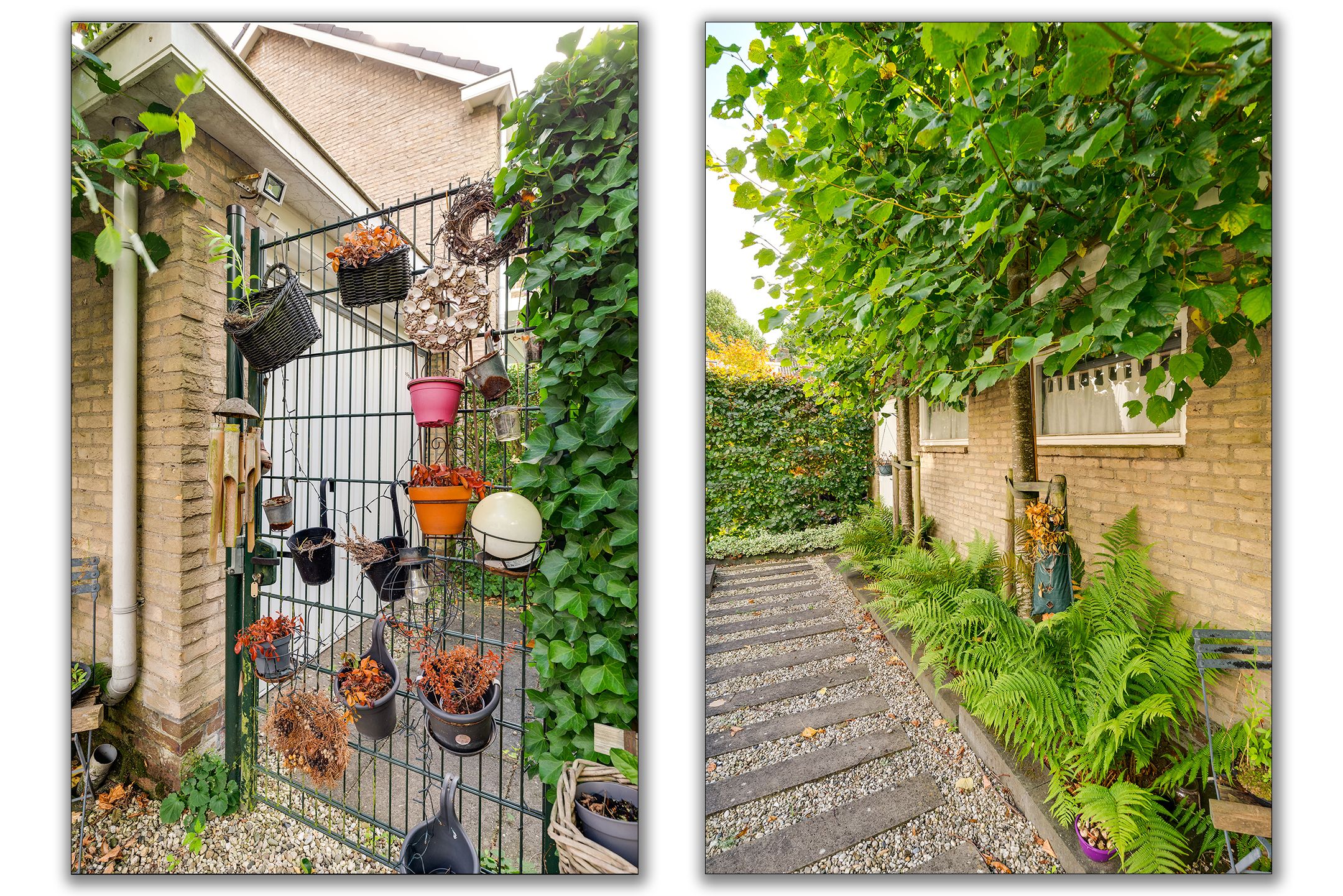 Foto 18 van Campanula 29