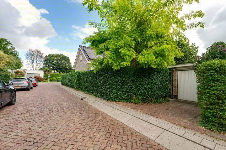 Foto 20 van Campanula 29