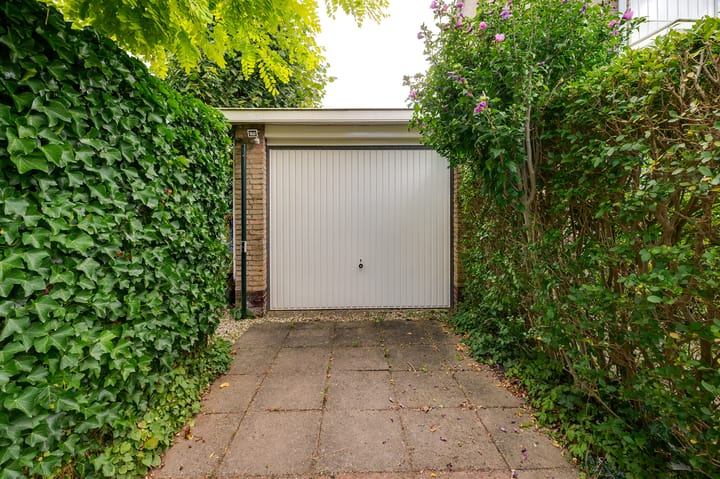 Foto 21 van Campanula 29