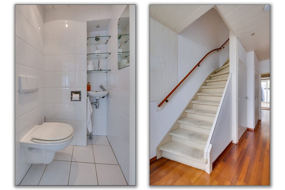 Foto 22 van Campanula 29