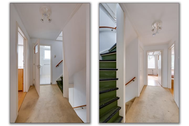 Foto 23 van Campanula 29