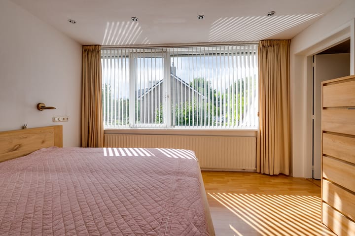 Foto 24 van Campanula 29