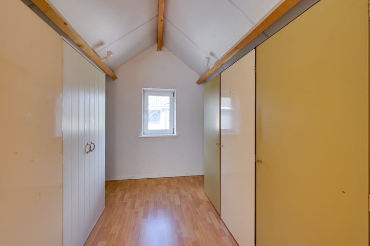 Foto 27 van Campanula 29