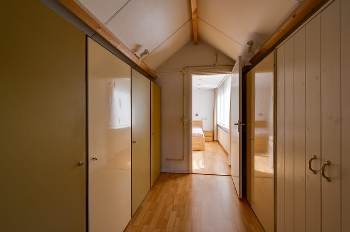 Foto 28 van Campanula 29