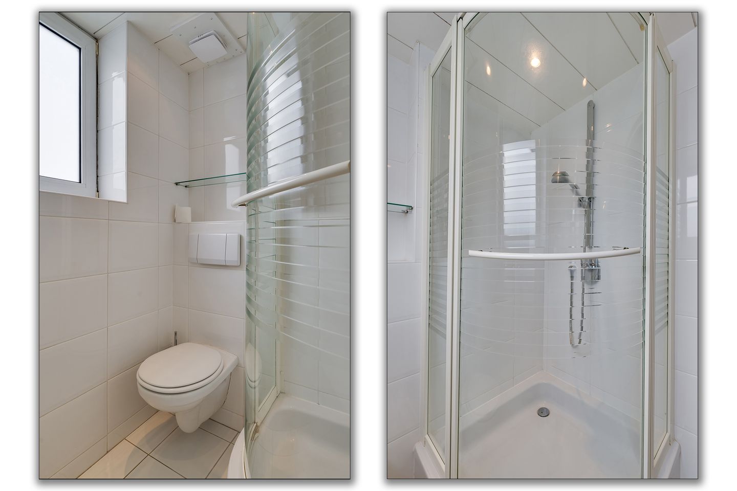 Foto 34 van Campanula 29