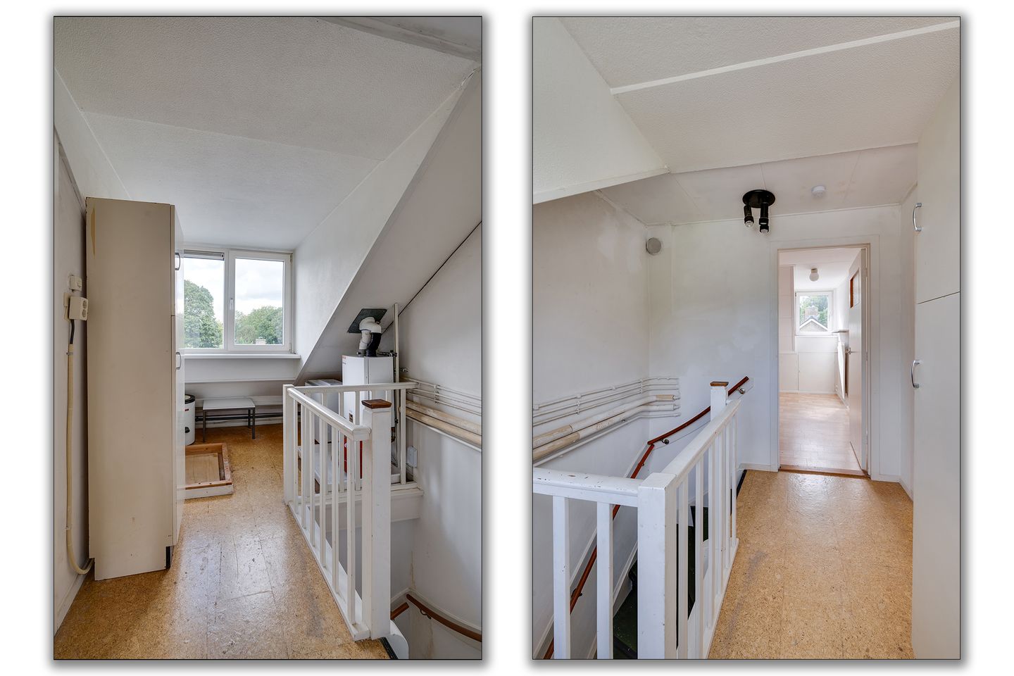 Foto 35 van Campanula 29