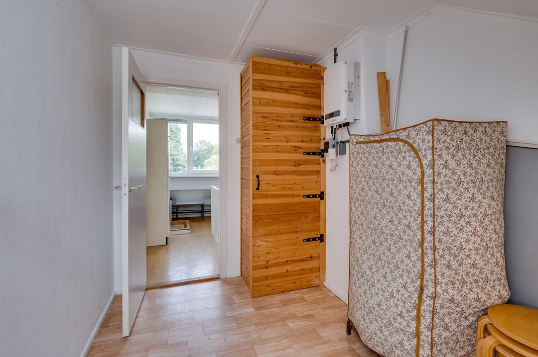 Foto 37 van Campanula 29