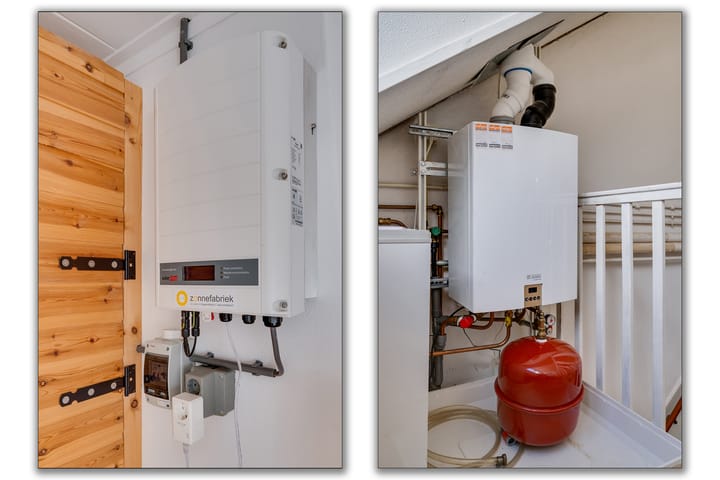 Foto 38 van Campanula 29