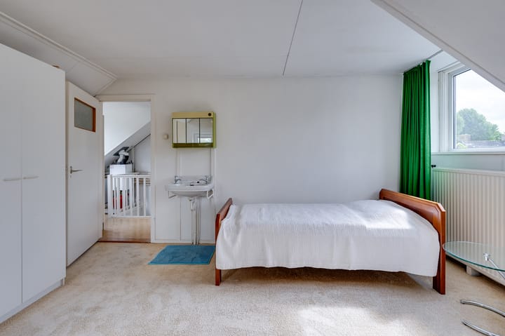 Foto 41 van Campanula 29