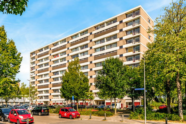 Bekijk foto van Livingstonelaan 296