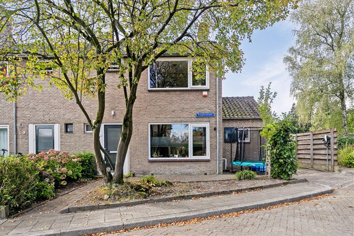 Bekijk foto 18 van Kruijderstraat 11