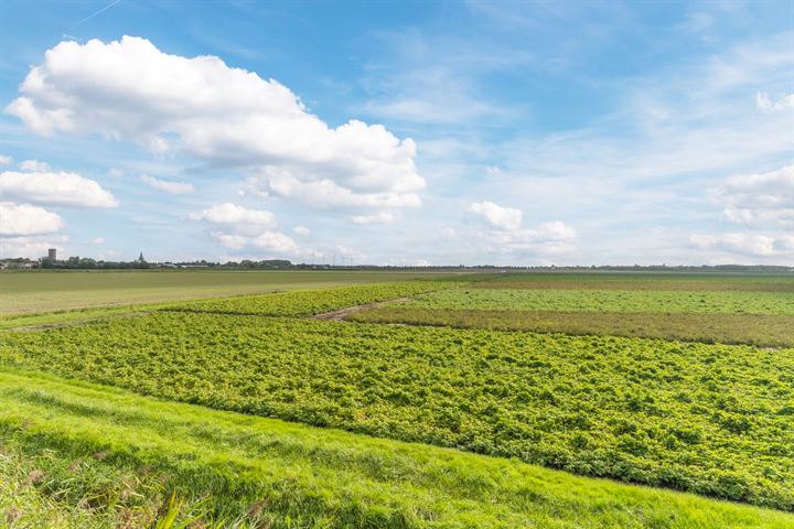 Bekijk foto 101 van Gastelsedijk West 122