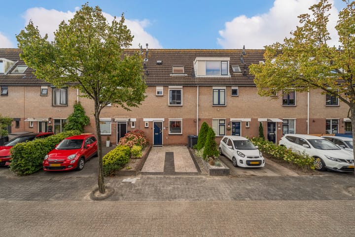 Foto 1 van Vivaldi 13