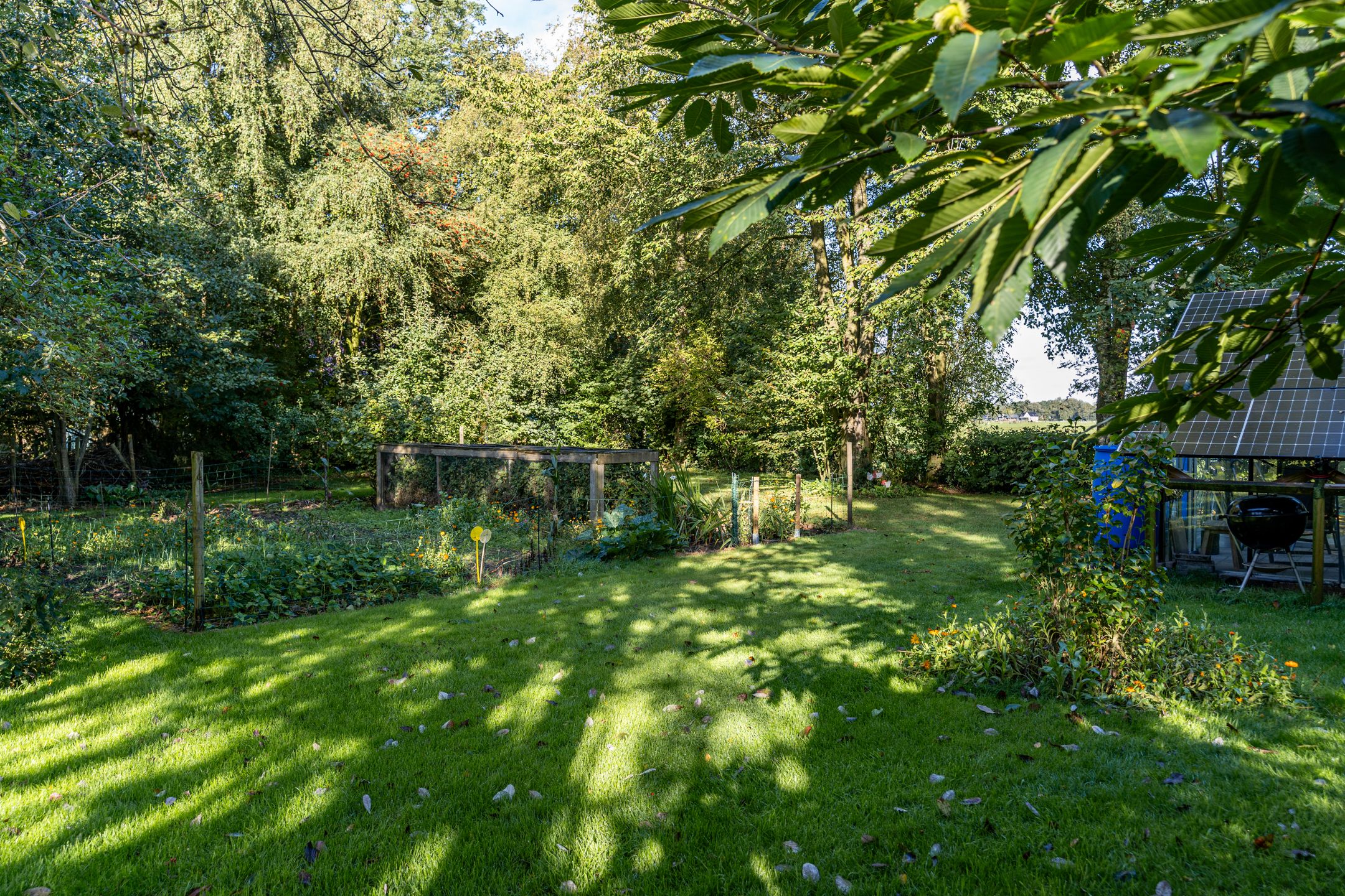 Photo 27 of Aengwirderweg 137