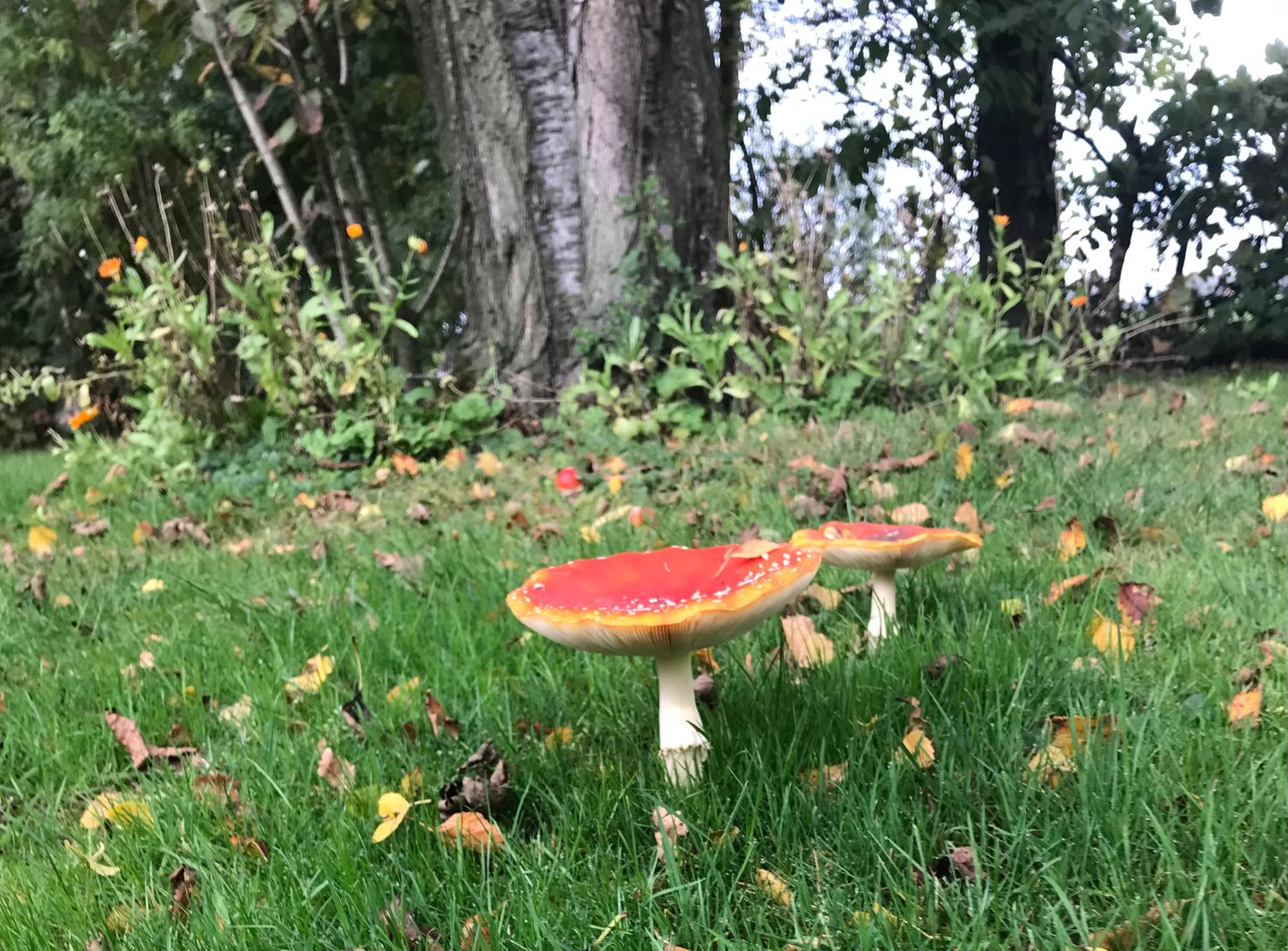 Photo 34 of Aengwirderweg 137