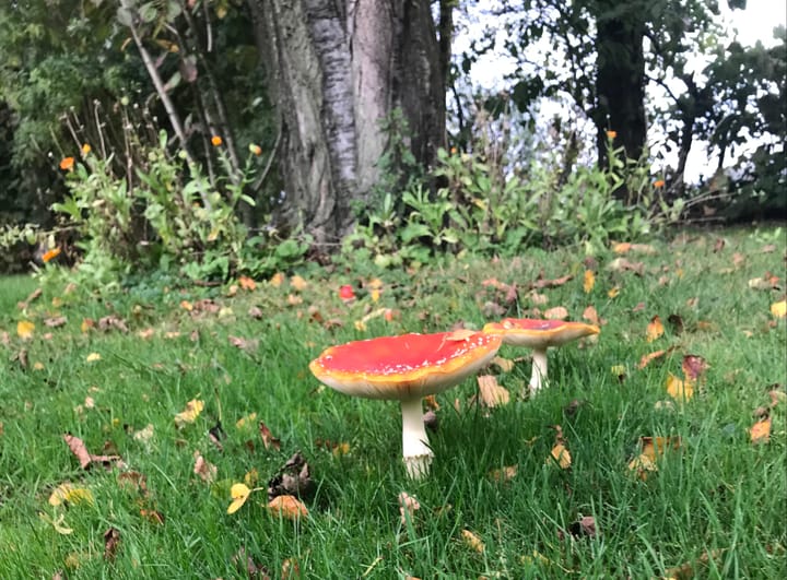 Foto 34 van Aengwirderweg 137