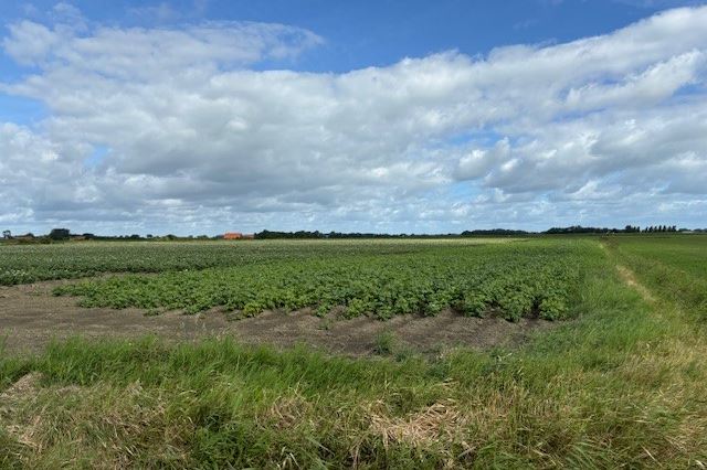 Bekijk foto 3 van Baaiweg