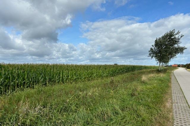 Bekijk foto 4 van Baaiweg