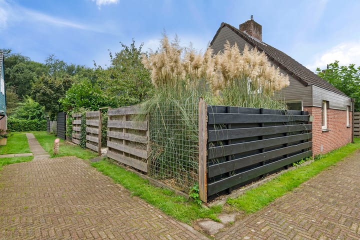 Foto 3 van Duinschooten 12-088