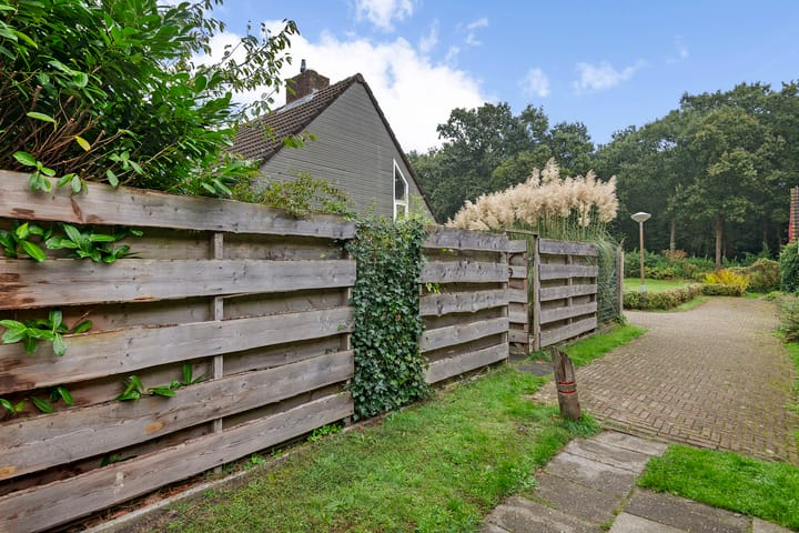 Foto 5 van Duinschooten 12-088