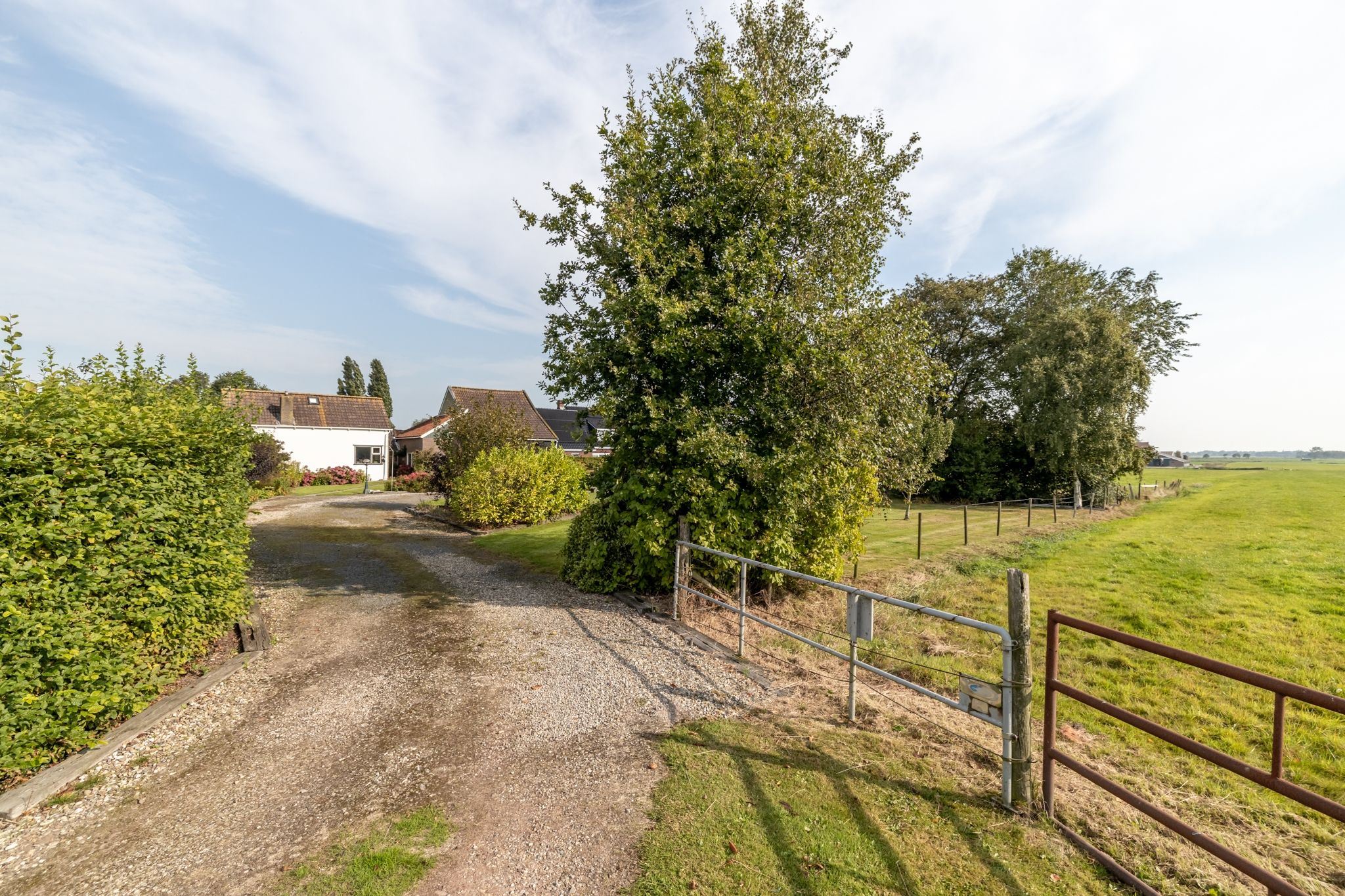 Photo 9 of Buorren 53