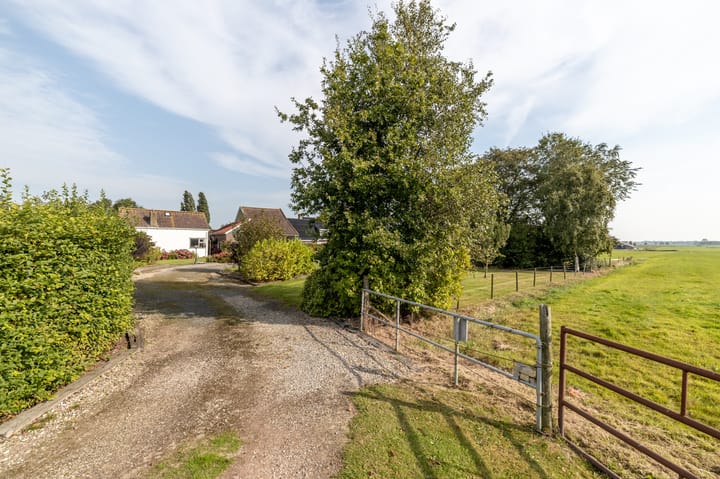 Foto 9 van Buorren 53