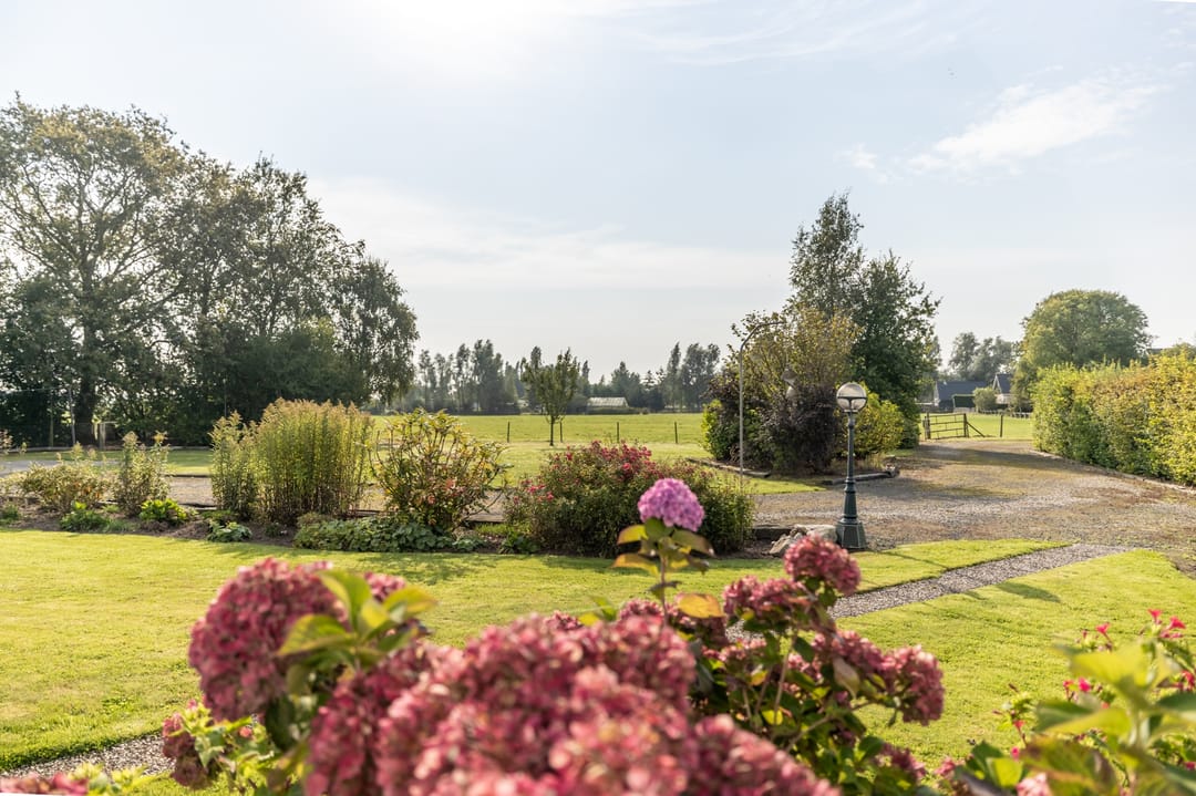 Photo 13 of Buorren 53