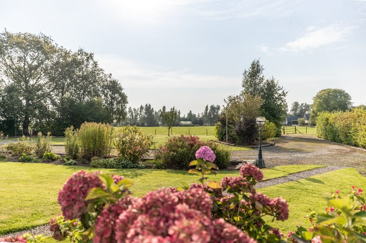 Foto 13 van Buorren 53