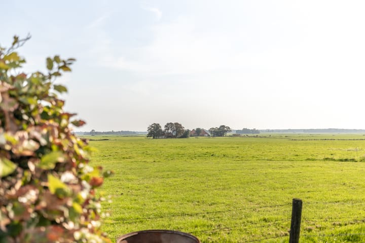 Foto 15 van Buorren 53