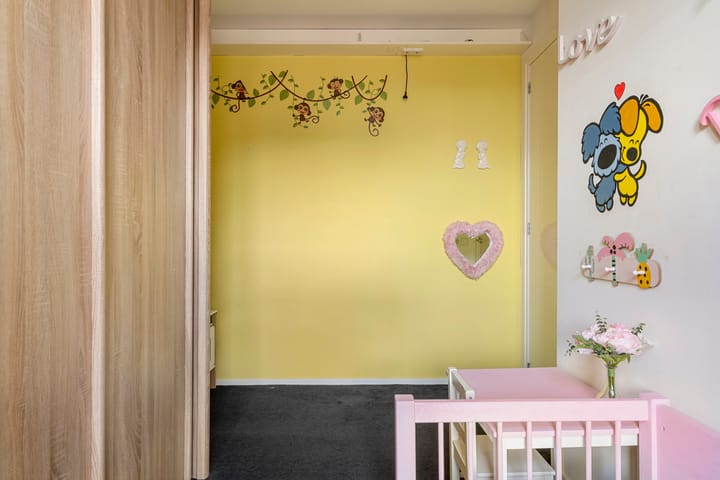 Foto 18 van Van Hallstraat 20