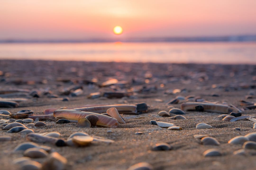 Foto 7 van Kavels Achter de Duinen Fase 3 (Bouwnr. 44)
