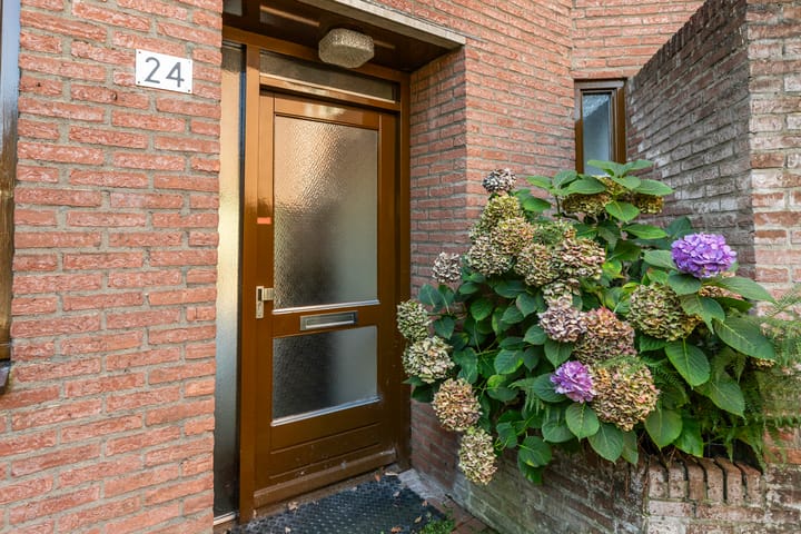 Foto 2 van De Zeis 24