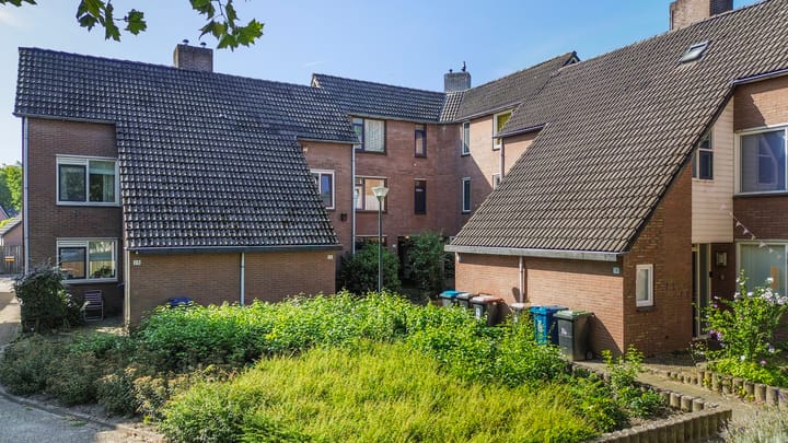 Foto 35 van De Zeis 24