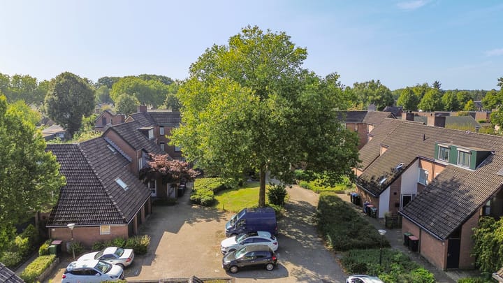 Foto 38 van De Zeis 24