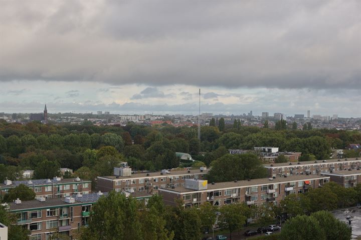 View photo 19 of Nieuwendamlaan 278