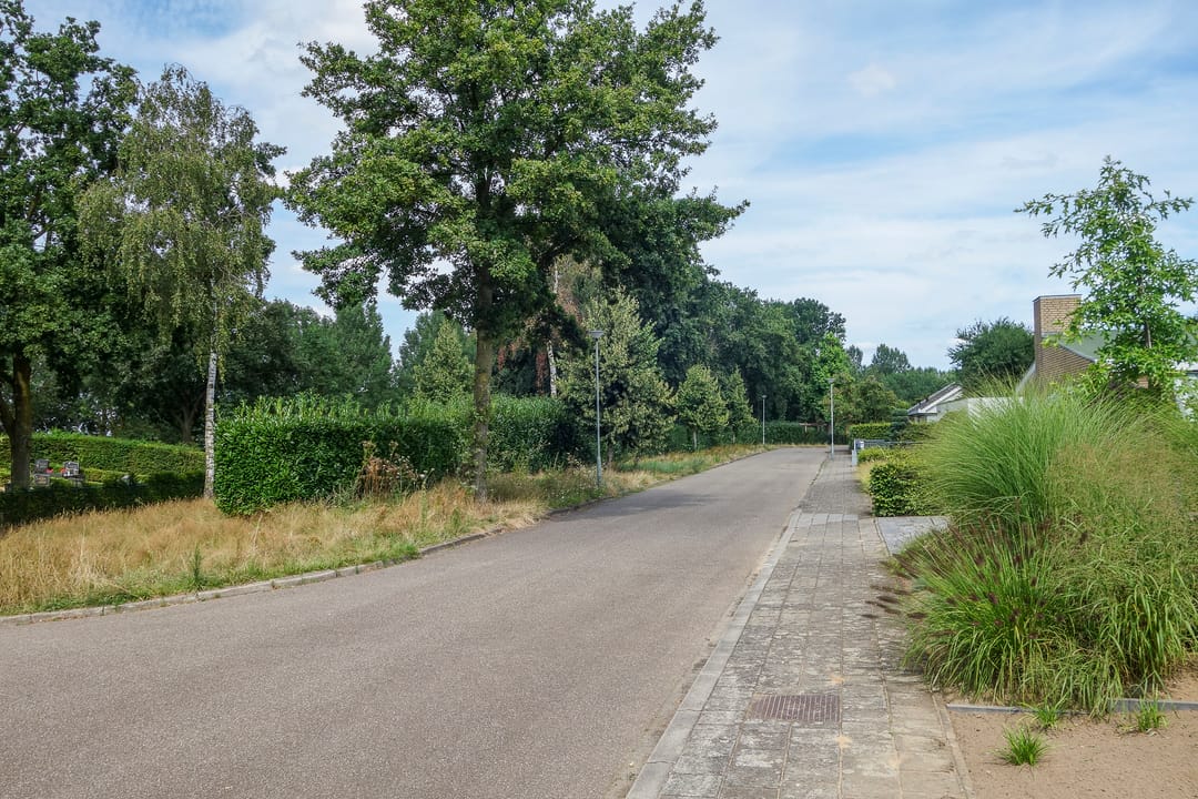 Foto 43 van Elisabethstraat 13