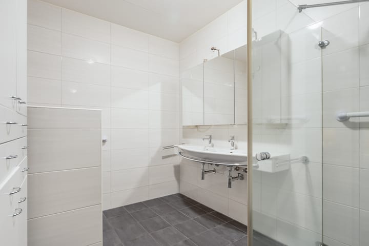 Foto 47 van De Eschmolen 110